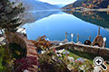 Herbst am Reschensee